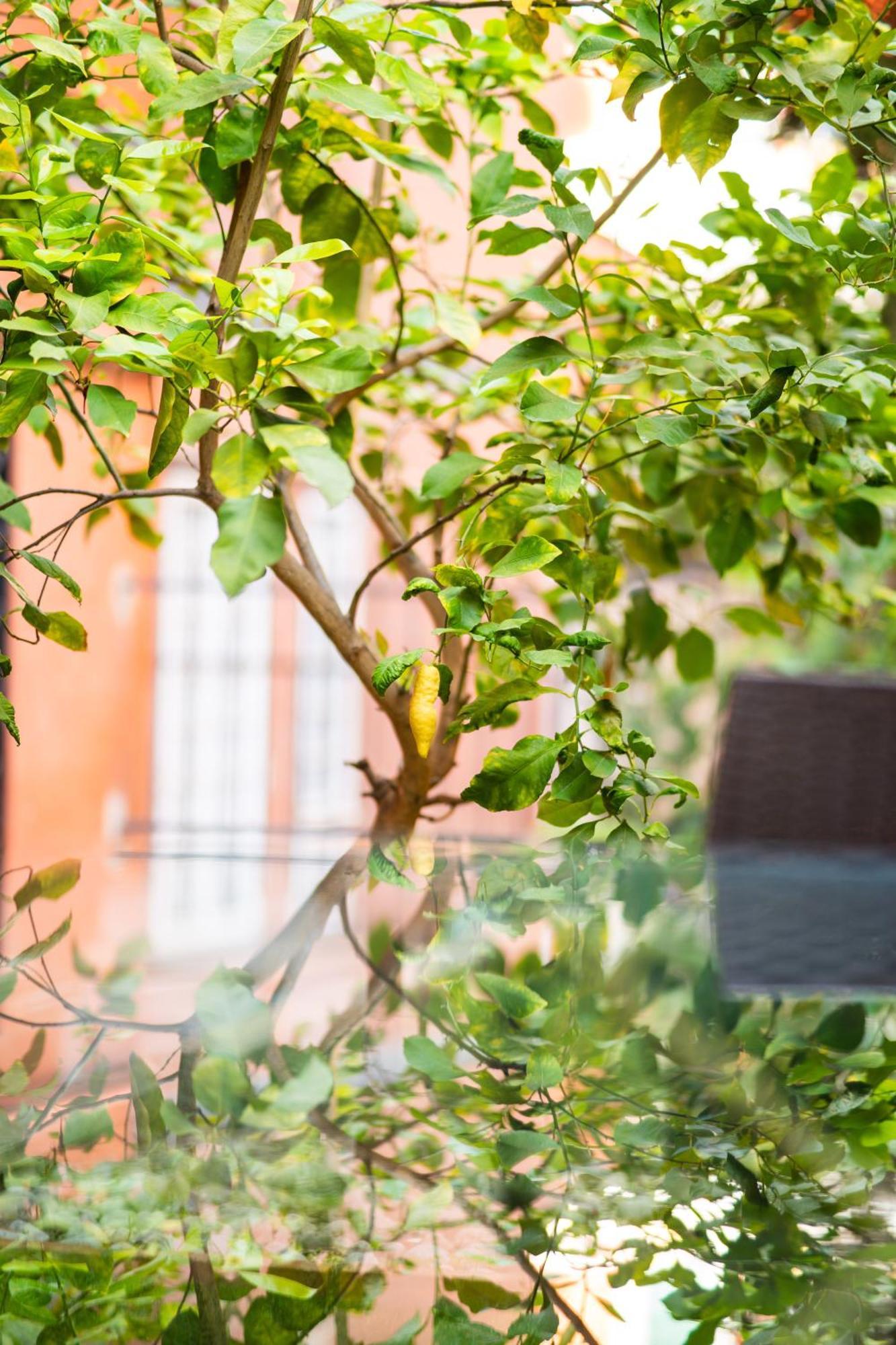 Aurea Suite Vaticano Rome Exterior photo